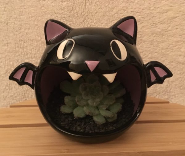 Bat Bowl