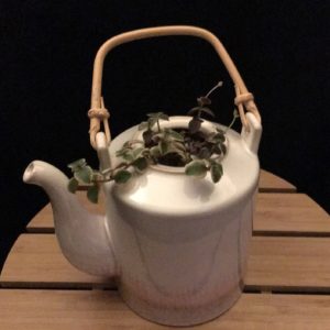 Tall White Teapot