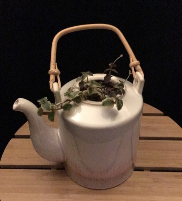 Tall White Teapot