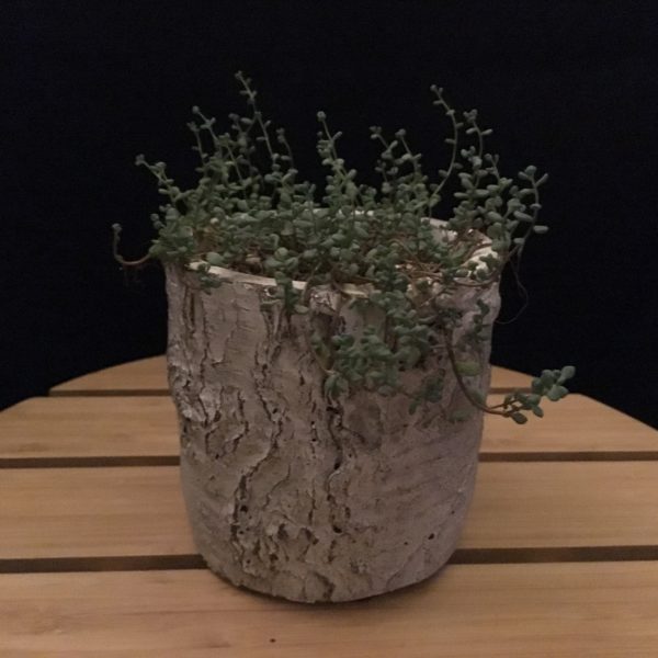 Faux Stump Planter