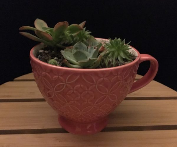 Large Pink Teacup