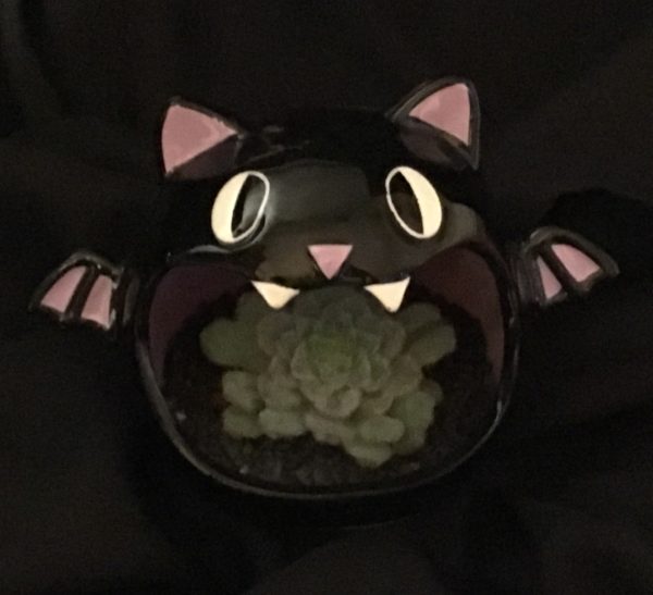 Bat Bowl