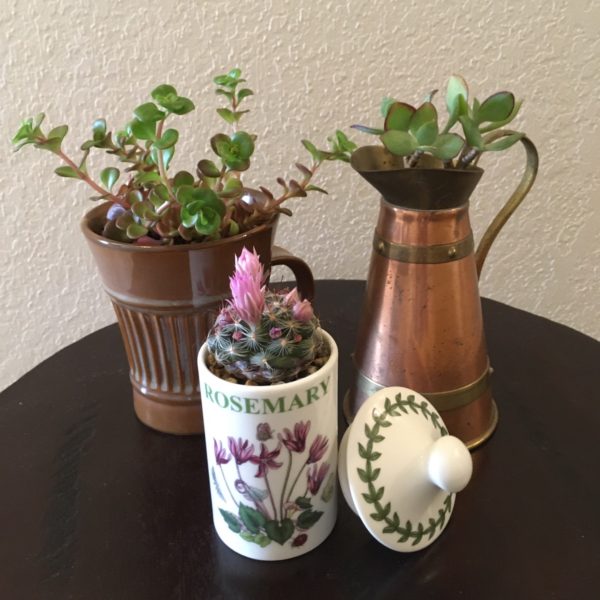 Assorted Spring Pots