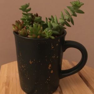 Navy & Copper Mug