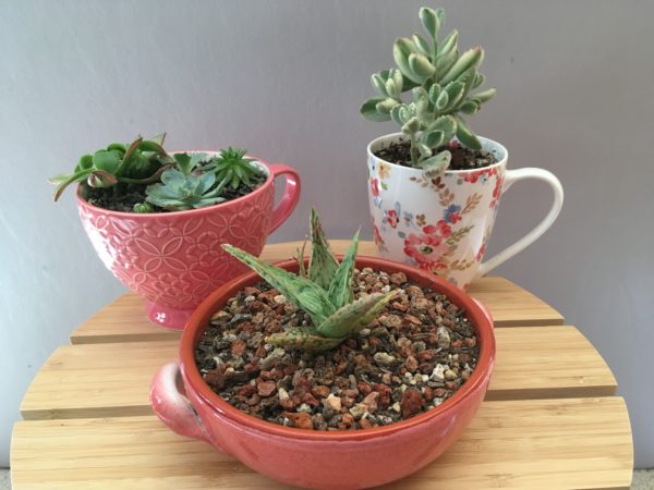 Pink Pots