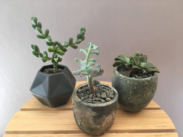 Grey Pots