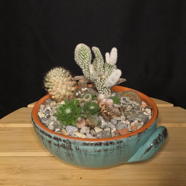 Teal Cactus Bowl