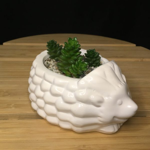 Hedgehog Planter