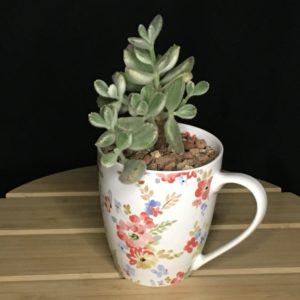 Pastel Floral Mug