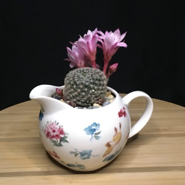 Floral Cream Pitcher