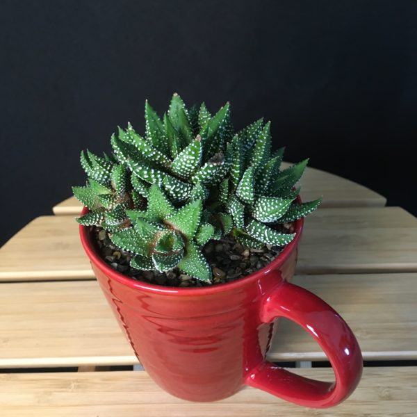 Bright Red Mug