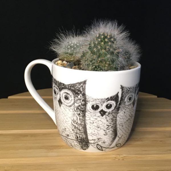 Owls Mug view 3