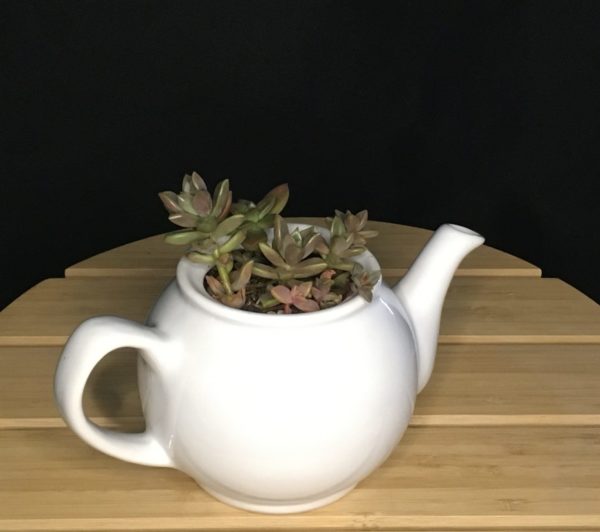 Short White Teapot