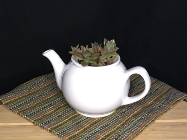 Short White Teapot view 2