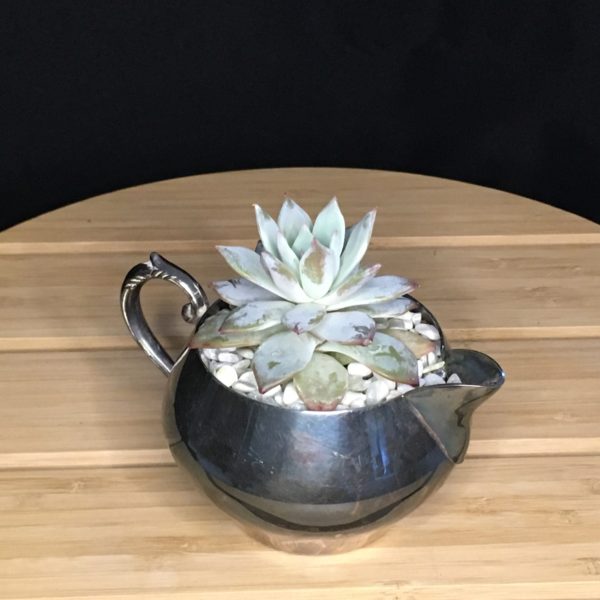 Silver Cream Pitcher