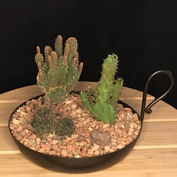 Bronze Cactus Tray view 2