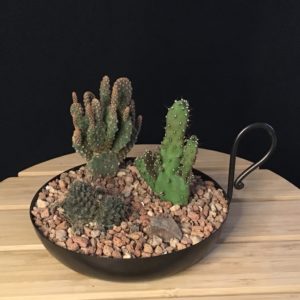 Bronze Cactus Tray