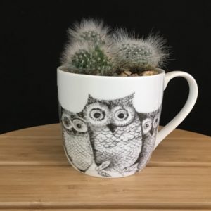 Owls Mug