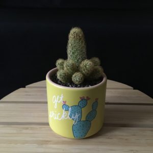 Get Prickly