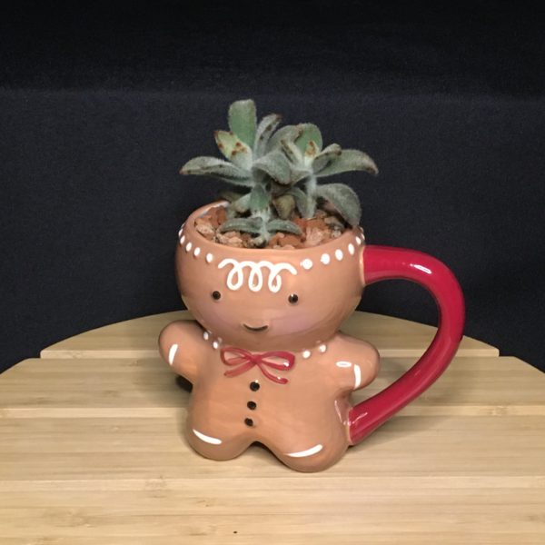 Gingerbread Mug