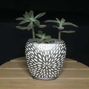 Sunburst Planter