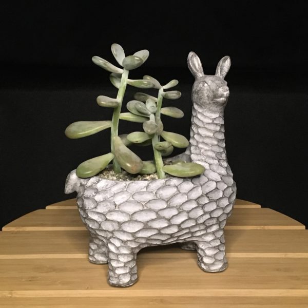 Llama Planter