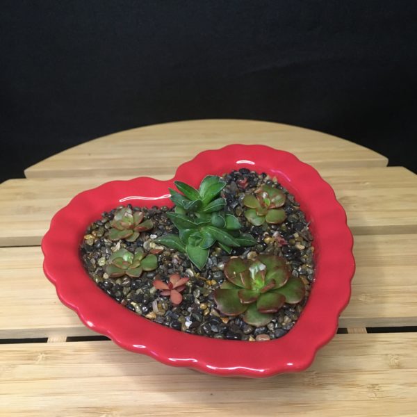 Heart-Shaped Bowl