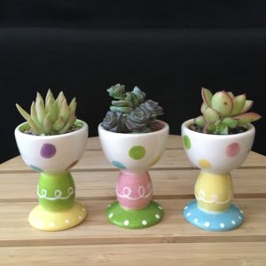 Easter Egg Cups