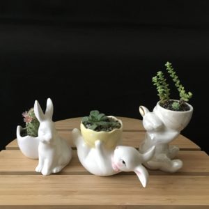 Easter Bunny Trio