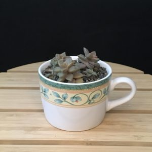 Floral Vine Mug