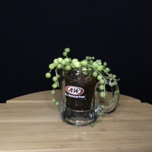 Vintage Glass Mug