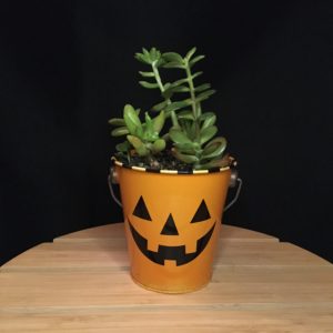 Jack o'Lantern Bucket