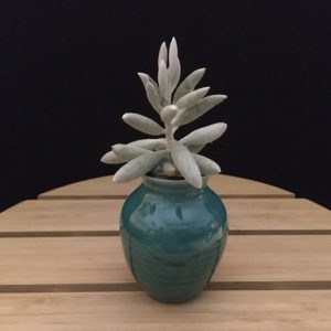 Teal Vase