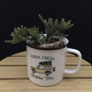 Fresh Trees Mug