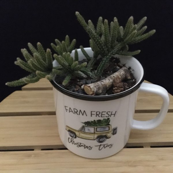 Fresh Trees Mug detail