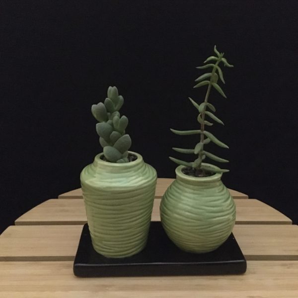 Ribbed Pots Duo