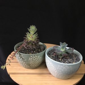 Petal-patterned Bowls