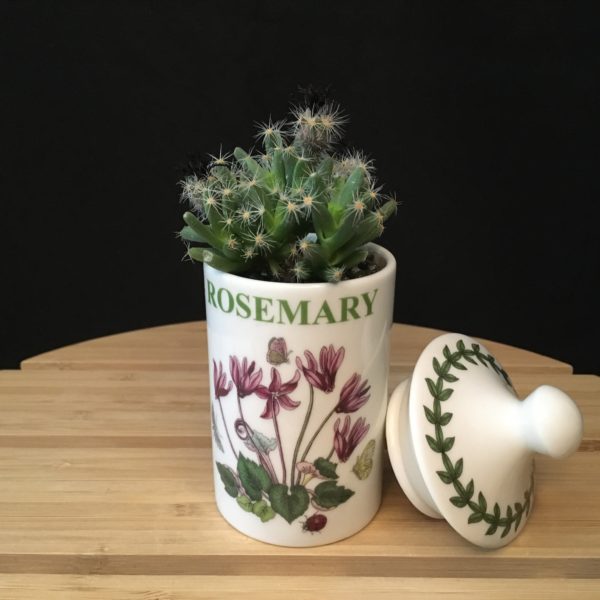 Rosemary Jar new