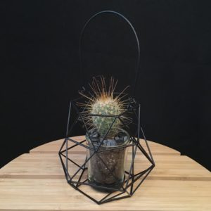 Geodesic Lantern