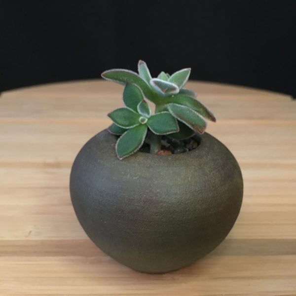 Small Jewel Pot