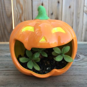 Pumpkin Planter new