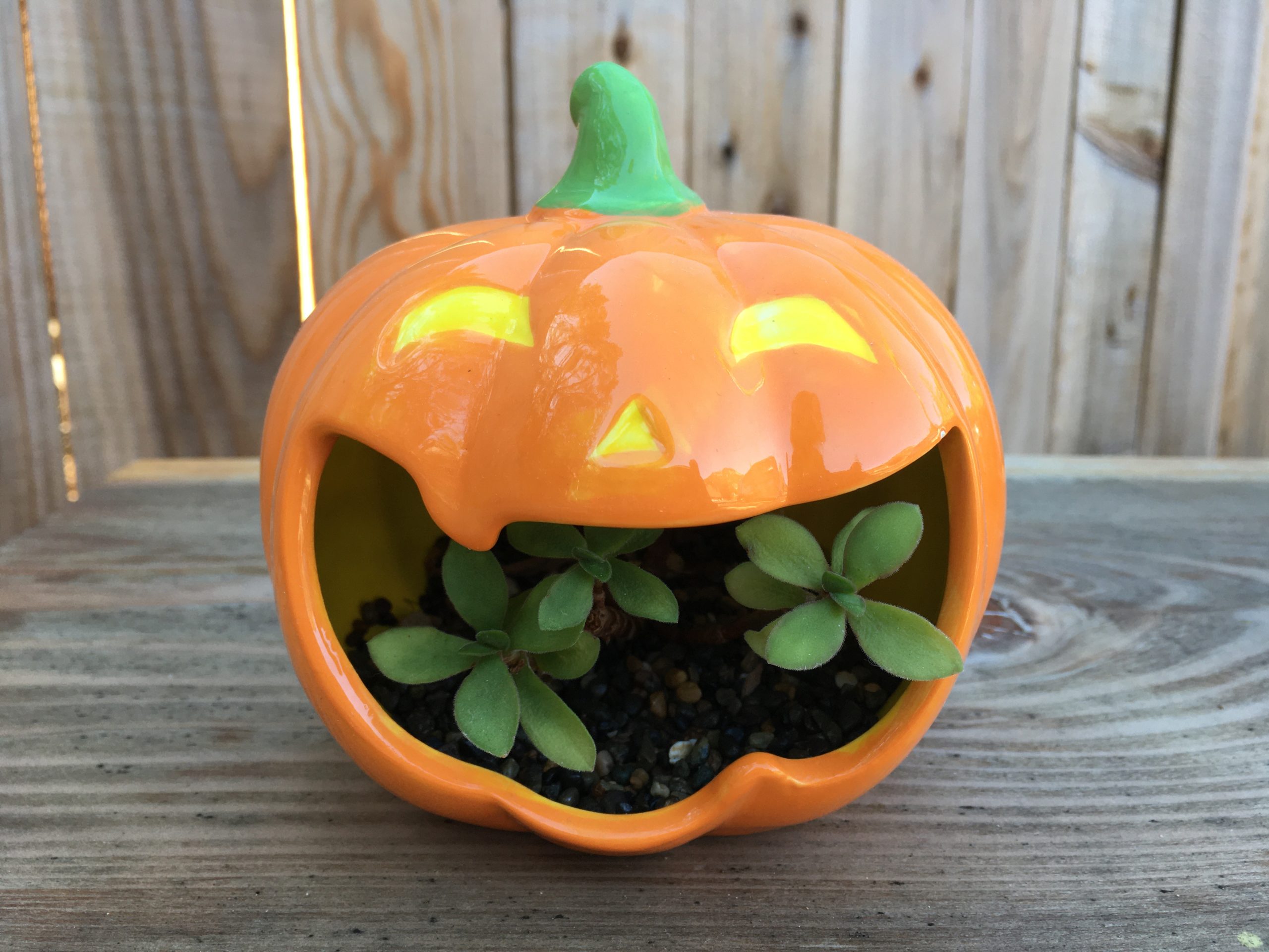 Pumpkin Planter