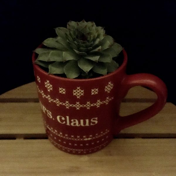 Mrs. Claus Mug detail